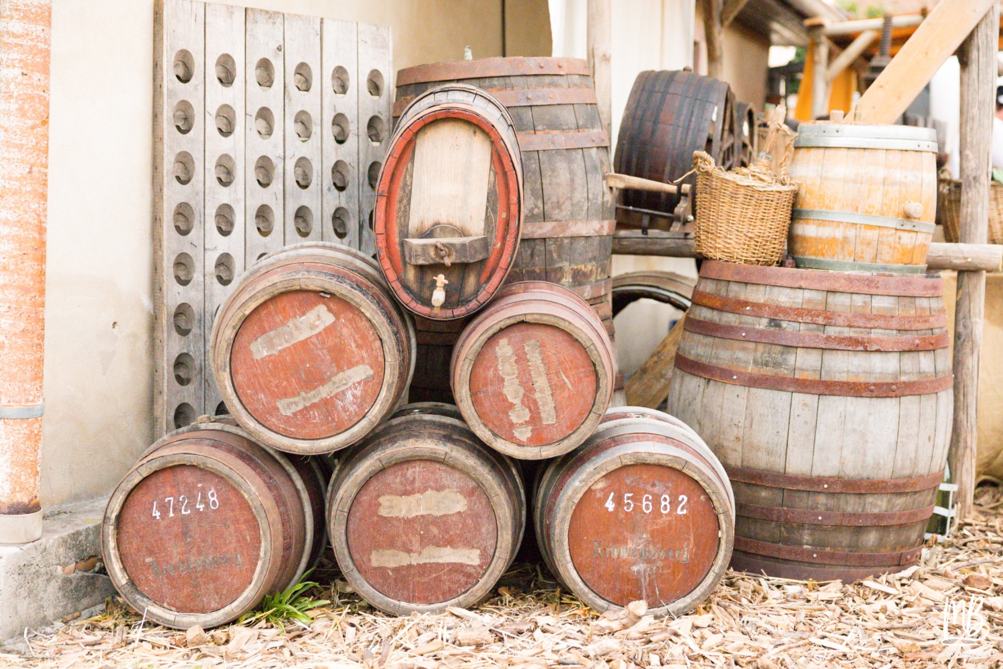 20250711 EXNIHILO(LE JARDIN DES DELICES) MB 76